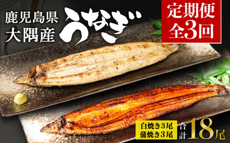 【定期便全3回】 鹿児島県 大隅産 千歳鰻 白焼き 3尾・ 蒲焼 3尾 （1尾110g～130g）| 白焼き