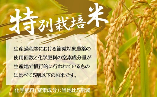 コシヒカリ＜特別栽培米＞精米 10㎏（減農薬 有機肥料 お米 米 おこめ こめ 白米 こしひかり 令和7年産）【002308C】