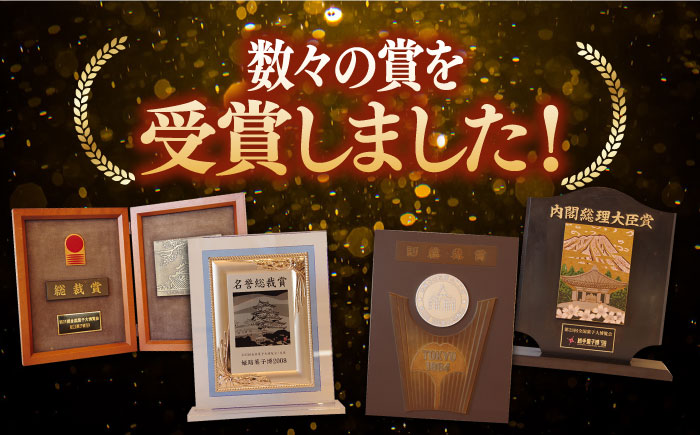 【6回 定期便 】特製 長崎 カステラ 1.5斤（約700g＋約350g）/ 南島原市 / 本田屋かすてら本舗 [SAW014]