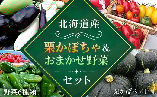 【2025年8月下旬より発送】栗かぼちゃ1個とおいしい野菜おまかせセット（栗かぼちゃ1個と野菜6種類） 【 ふるさと納税 人気 おすすめ ランキング 野菜 セット かぼちゃ 南瓜 北海道 厚沢部 送料無料 】 ASO009