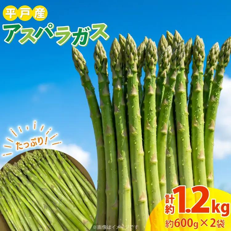 【先行予約】 アスパラガス 夏 約600g 2袋 計約1.2kg