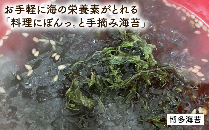 糸島 からお届けする 毎日の食卓 セット（B） 糸島市 / いとしまごころ [ASD016] ワカメ わかめ 乾燥 出汁 ダシ スープ 鯛 ネギ ねぎ ハバネロ