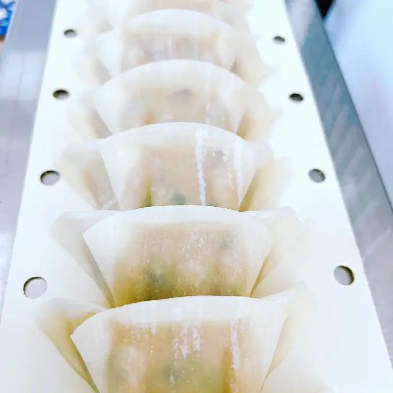 にんにく餃子セットギフトBOX　計50個（25個入り×2パック） / 和歌山県 田辺市 ぎょうざ ギョウザ ギョーザ 手作り 紀州うめぶた 無添加 冷凍【gyz016】