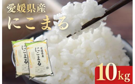 愛媛県産にこまる10kg
