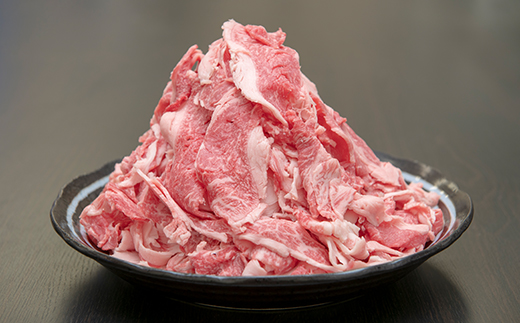 飛騨牛　切り落し　700g　訳あり(350g×2盛りで小分け済)【配送不可地域：離島】