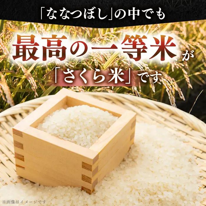 【12回定期便】 ななつぼし さくら米 5kg 令和7年産 令和8年産 白米 精米 ブランド米 [AXAB007]