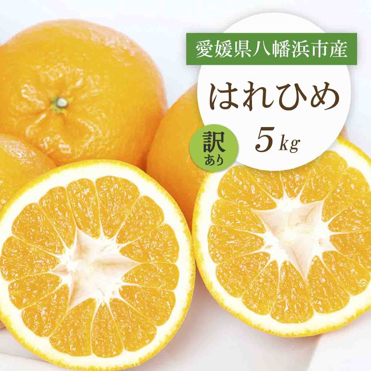 
                  【先行受付】愛媛県八幡浜市産 はれひめ5kg＜訳あり＞＜C25-207＞【1612501】 YWTAP148
                