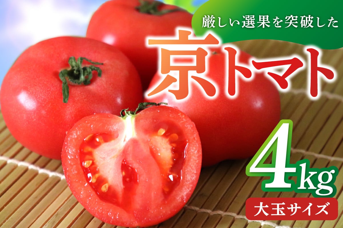 
            【先行予約】京丹後産・京トマト 4kg（12～24玉） 春夏発送（2026年5月中旬～発送）　お野菜 夏野菜 トマト 大玉 4きろ 高糖度 濃厚 甘い 美味しい 完熟 とまと tomato 業務用 大容量 大量　JK00034
          