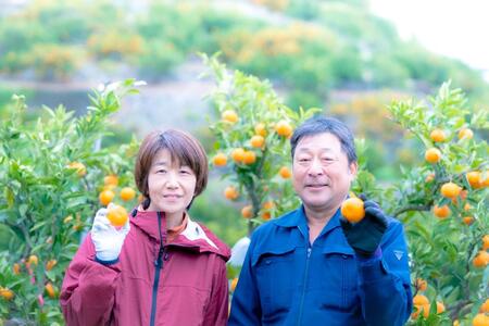 完熟有田みかん 家庭用 約2kg 平武農園 農家直送 サイズ混合 秀品・訳あり品