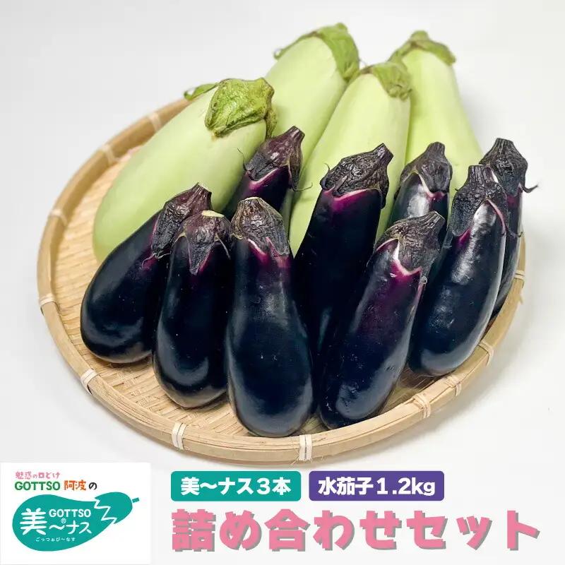 水茄子 約1.2kg 美～ナス 3本 詰合せ セット なすび 茄子 翡翠茄子 水なす ナス なす