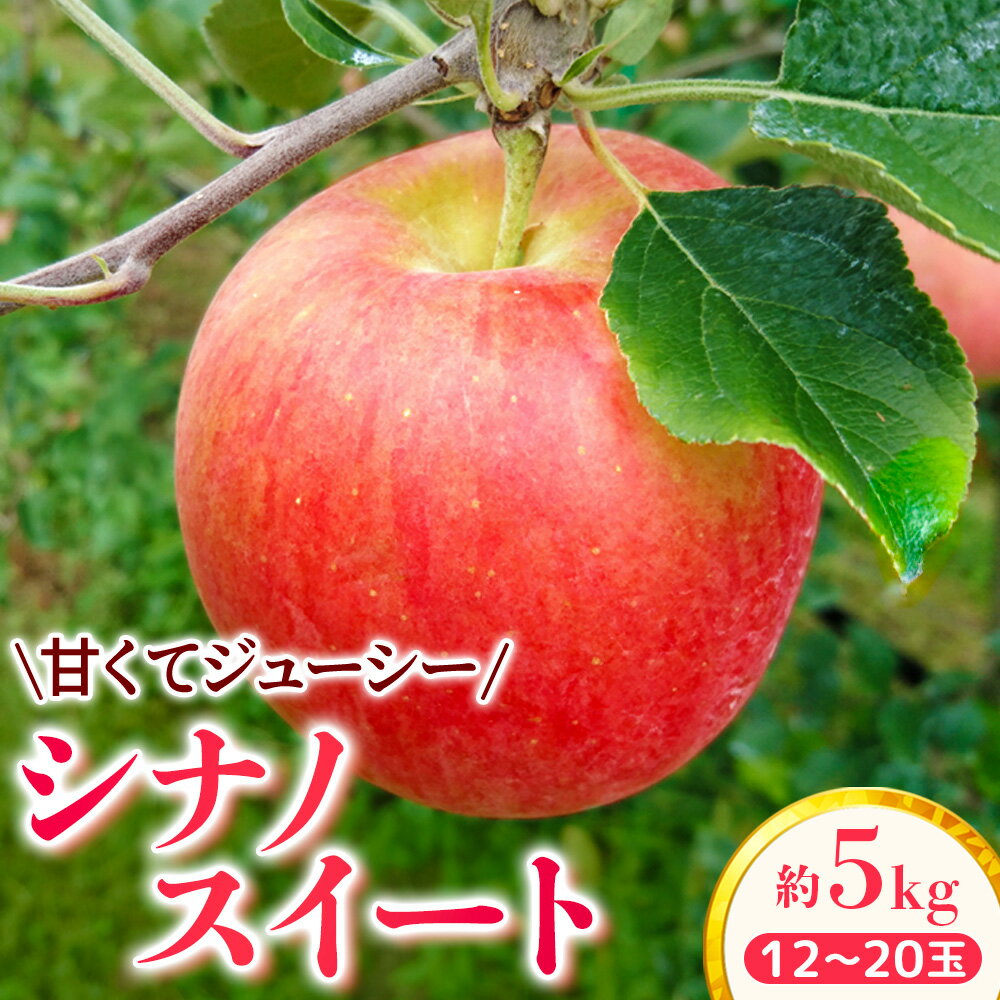 【ふるさと納税】【家庭用】りんご シナノスイート 約5kg【2026年4月下旬まで順次発送】スマートフレッシュ｜ 林檎｜リンゴ｜12～20玉｜フルーツ｜果物｜長野県｜南信州｜豊丘村