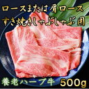 【ふるさと納税】養老ハーブ牛　ロースまたは肩ロース　すき焼き・しゃぶしゃぶ両用　500g【配送不可地域：離島】【1273632】