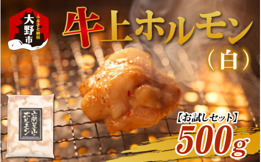 【お試しセット】ホルモンの老舗 六間星山の牛上ホルモン（白）（500ｇ×1袋）