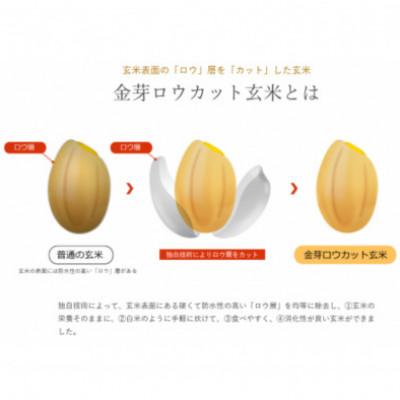ふるさと納税 田尻町 【毎月定期便】金芽ロウカット玄米4kg(2kg×2袋)ふっくら柔らかい美味しさ!全12回 |  | 03