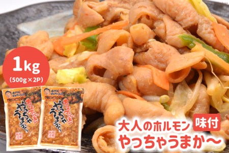 味付 大人のホルモン やっちゃうまか～ 500g×2p 計 1kg  [パップ・ザ・セカンドコーポレーション 長崎県 雲仙市 item1801] ホルモン 焼肉 小分け 味付き