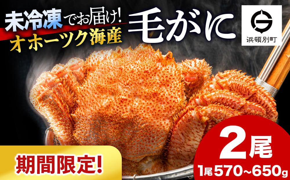 
            【期間限定】北海道産 毛がに 2尾 (１尾570g～650g)【株式会社シーグレイセス】浜頓別 塩茹で カニ
          