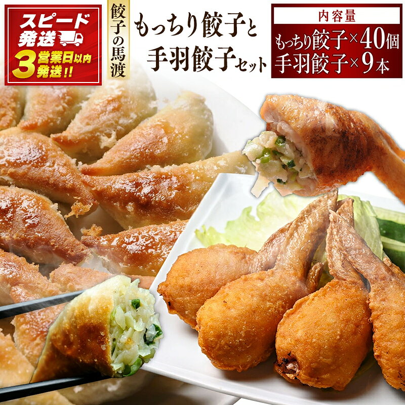 餃子の馬渡 馬渡のもっちり餃子40個と手羽餃子10本セット