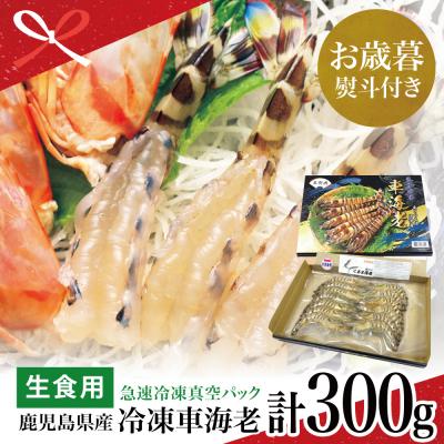 ふるさと納税 南さつま市 【お歳暮ギフト】【鹿児島県産】活〆 冷凍車海老 300g (生食用)