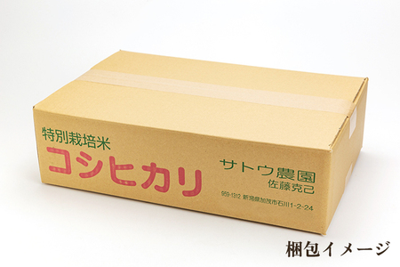 【定期便6ヶ月毎月お届け】【2024年先行予約】【令和6年産新米】化学肥料未使用の従来コシヒカリ【厳選八蔵10kg】特別栽培 有機肥料で育った厳選米 加茂市 新潟サトウ農園