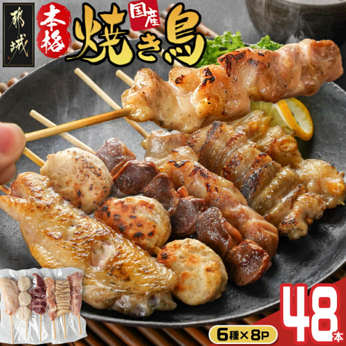 職人串打ちの本格焼き鳥48本!!_12-3307