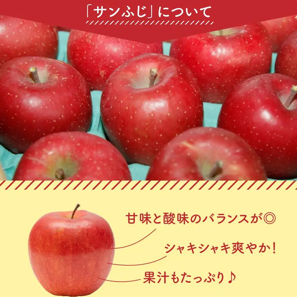 りんご 令和8年産 訳あり りんご サンふじ 約5kg