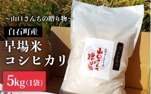 【令和7年8月以降発送】【令和7年度産】特別栽培米 早場米 コシヒカリ 5kg ～山口さんちの贈り物～【y'scompany】米 お米 コシヒカリ こしひかり 早場米 特別栽培米 白米 お米 [IAS001]