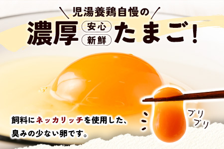 ＜児湯養鶏自慢の卵＞ネッカリッチ赤たまご「児湯一番」 計240個 （20個入×2箱）×6か月定期便【D15】