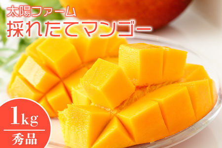 【 先行予約 2026年 発送 】太陽ファームの採れたて マンゴー 1kg ( 秀品 ) 沖縄県産 マンゴー アップルマンゴー アーウィンマンゴー 1キロ 国産 完熟マンゴー 果物 くだもの フルーツ 完熟 夏 沖縄 お取り寄せ ギフト 産地直送 農家直送 糸満市 120-6
