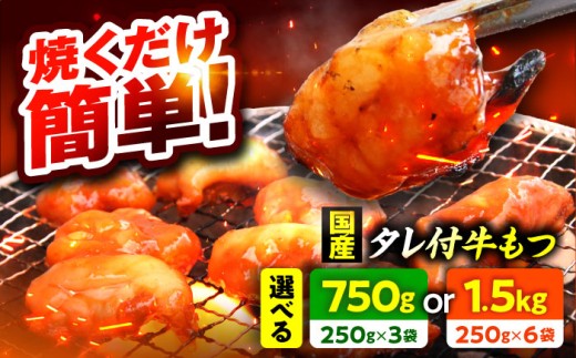 【小分け】 【秘伝のタレ付】 牛 もつ セット 4～5人前｜小分け 3袋 計750g  国産 味噌 もつ鍋 焼肉 時短 簡単 小腸  国産牛 ホルモン おつまみ 真空 冷凍 大ぶり 簡単調理 グルメ 忘年会 コラーゲン しょうちょう 鍋 バーベキュー 焼き肉 牛肉 肉 もつ モツ 内臓 モツ鍋 もつなべ 味噌味  小浜市 タレ 味付   【配送不可地域：北海道・沖縄・離島】  [BFAP007]