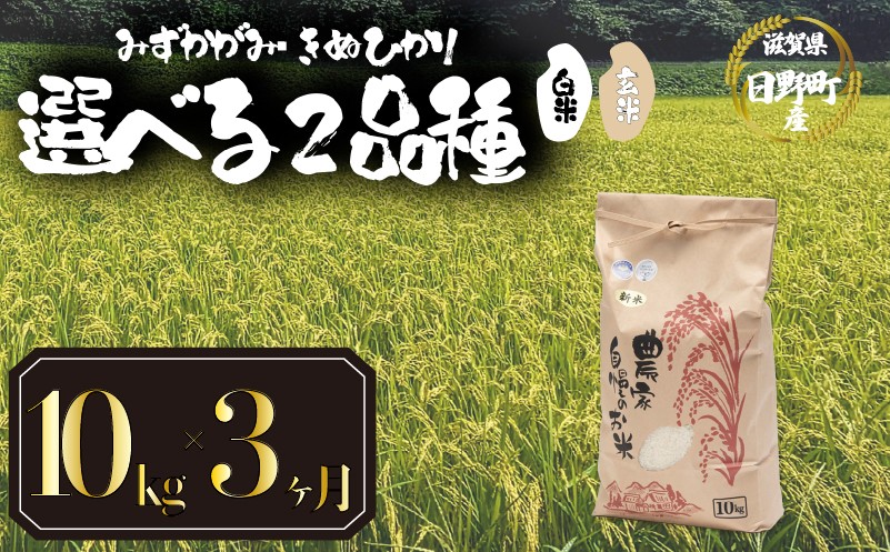 
                  【新米 先行予約】 令和8年産 選べる 品種 みずかがみ きぬひかり 白米 / 玄米  定期便 10kg × 3ヶ月 計30kg 2026年産 キヌヒカリ 国産 滋賀県 日野町 農家直送 お米 精米 おこめ こめ 米 ご飯 おにぎり お弁当 弁当 kome R8年 R8 8年産 ハクマイ げんまい しんまい おこめ こめ 米 オコメ 産地直送 日野町産米 産地直送 ふるさと納税
                
