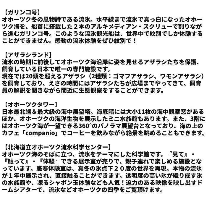 17-79 ガリンコ号3 IMERU 冬期運航 流氷クルーズ乗船券（3施設入場券セット）_イメージ2