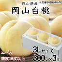 【ふるさと納税】桃 2024年 先行予約 岡山 白桃 エース 3玉×約300g（3Lサイズ）JAおかやまのもも（早生種・中生種） もも モモ 岡山県産 国産 フルーツ 果物 ギフト　【岡山市】　お届け：2024年7月上旬～2024年8月中旬