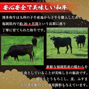 黒毛和牛 訳あり 赤身霜降り肉 a9458 | 黒毛和牛