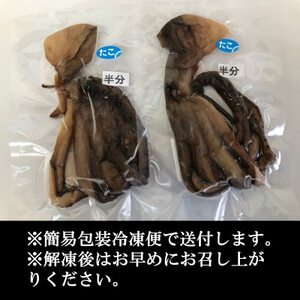 訳あり たこ 干物 1匹分 約200g 日間賀島産真蛸 半生干物 旨味が凝縮して美味しい!【配送不可地域：離島】【1466245】