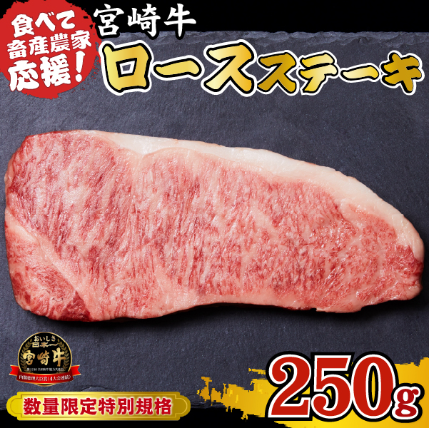 宮崎牛 ロースステーキ 250g（牛肉 黒毛和牛 畜産農家応援 ロース ステーキ 赤身 数量限定）