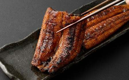 うなぎの蒲焼 （江戸前） 5尾 セット 鰻 ウナギ 鰻の蒲焼 蒲焼き タレ うなぎのタレ  山椒 国産