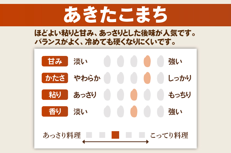 【先行予約】【3ヶ月定期便】令和7年産 茨城県産あきたこまち　精米　5kg【お米 米 ごはん 茨城県】（85-41）