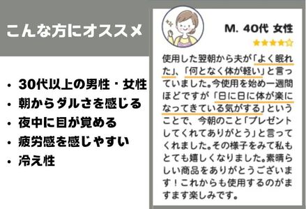 ラジウム温泉の力を取り入れたホルミシス敷パッド(ダブル)_【G0596】