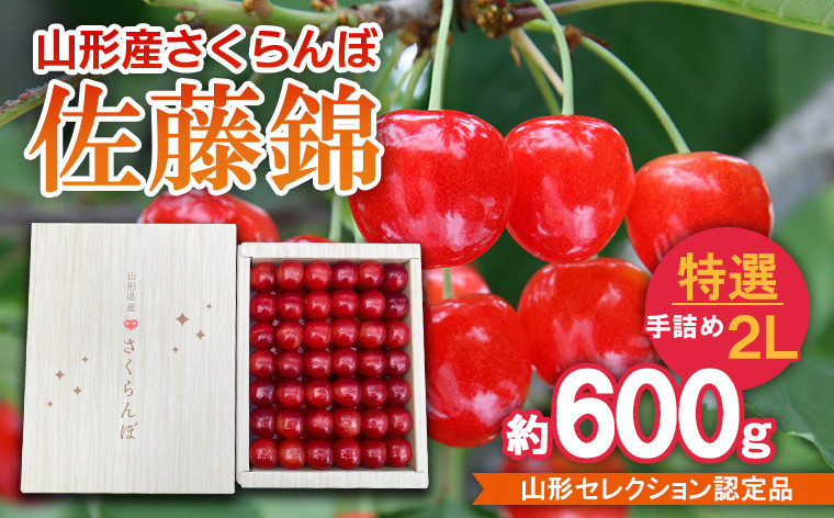 
            さくらんぼ 佐藤錦 特選 手詰め 2L 約600g 山形セレクション認定品 【令和7年産先行予約】FS24-630くだもの 果物 フルーツ 山形 山形県 山形市 2025年産
          