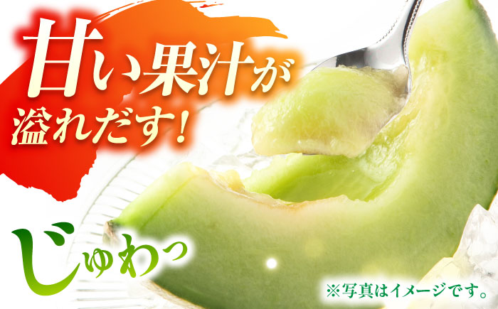 【数量限定】【先行予約】肥後グリーンメロン 約2kg（2玉）【鹿本農業協同組合】 [ZAG014]