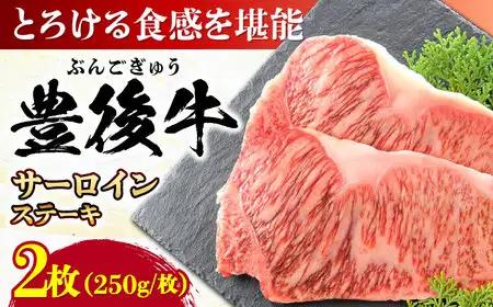 おおいた豊後牛 サーロインステーキ 500g (250g×2枚) ステーキ サーロイン おおいた 豊後牛 サーロインステーキ[AREI007]