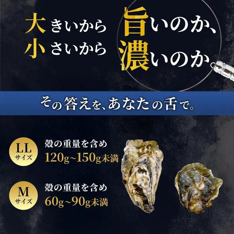 厚岸産 ブランド 殻付カキ マルえもん 生食用 サイズ食べ比べ 12個 (LL・M各6個)[ 魚貝類 生牡蠣 かき 牡蠣 カキ 生ガキ 食べ比べ ]