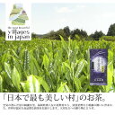 【ふるさと納税】奥八女星野村 八女茶 深蒸し高級煎茶(深蒸し茶)100g×1袋(吉富町)【1436218】