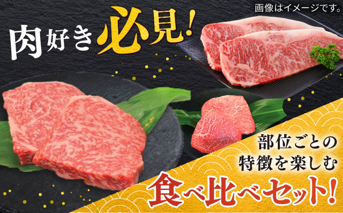 佐賀牛ステーキセット 計400g（100g×4枚）/ モモ ロース サーロイン ステーキ / 佐賀県 / 中山牧場 [41AOCW001]
