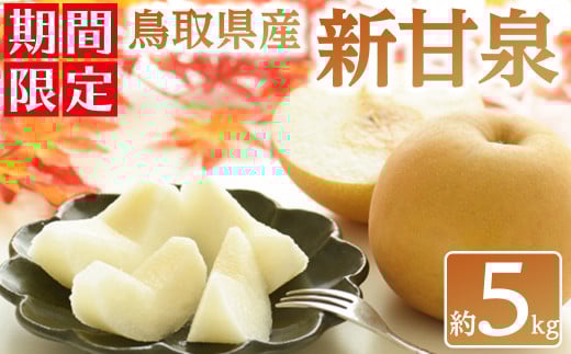 ＜数量限定＞＜2025年8月下旬以降順次発送予定＞鳥取県産新甘泉(約5kg) 【sm-BZ005】【岡田商店】
