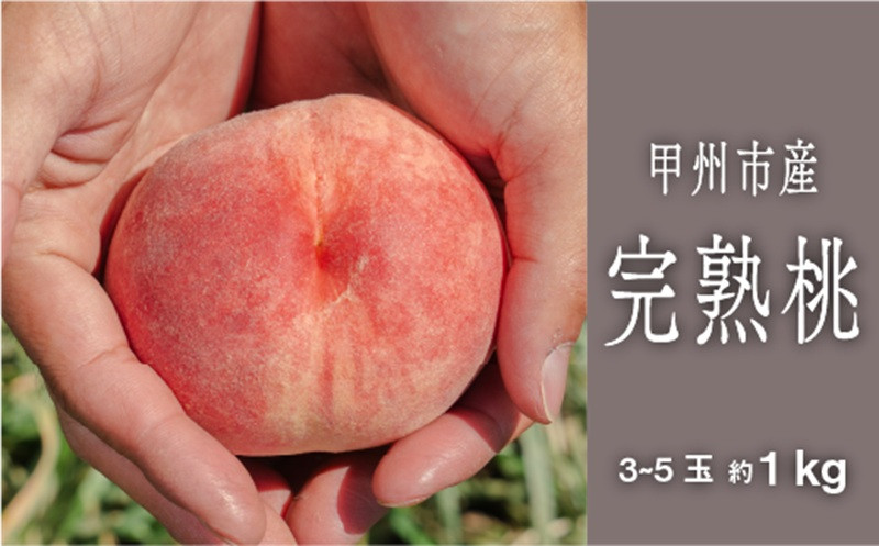 
                  甲州市完熟桃『滴る、潤沢な桃の果汁』 約1kg 3～5玉【2026年発送】（SHP）B-454 【桃 もも モモ 令和8年発送 期間限定 山梨県産 甲州市 フルーツ 果物】
                
