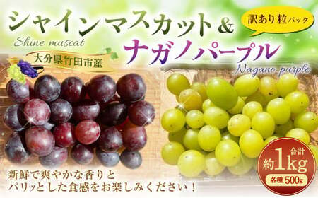【2025年度分先行予約】【数量限定】粒パック 訳あり シャインマスカット（約500g）＆ナガノパープル（約500g） 計約1kg （各1パック）【2025年9月下旬-11月上旬発送開始予定】