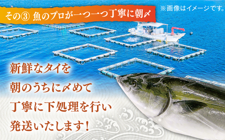 ブリ 平戸なつ香 約4-5kg【（株）坂野水産】[KAA003]/ 長崎 平戸 魚介類 魚 ぶり ブリ 内臓処理済 レシピ 刺身 たたき 刺身 塩焼き 刺身 漬け丼 刺身 しゃぶしゃぶ 刺身 アレンジ