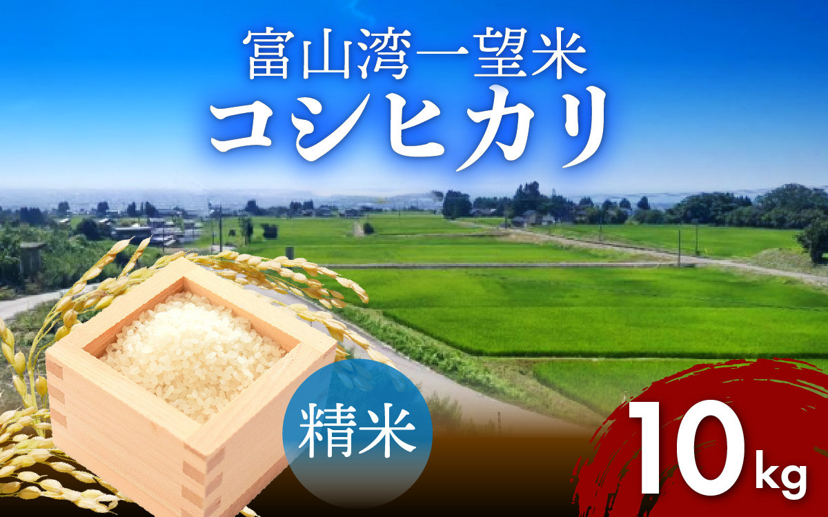 
                  富山湾一望米　コシヒカリ 精米 【容量10kg】【順次発送中】 農家直送 米 定期便 選べる 精米 富山県滑川産お米 産地直送 袋 ブランド米 お米 白米 こしひかり
                