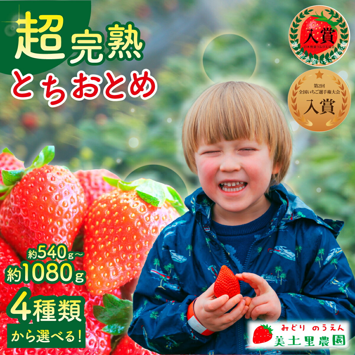 【ふるさと納税】＜2026年先行予約＞いちご 「茂木完熟いちご」　美土里農園の朝採れ とちおとめ 540g 1,080g 選べる発送月＆内容量 | いちご イチゴ 苺 とちおとめ 完熟 大粒 果物 フルーツ 美土里農園 栃木県 茂木町